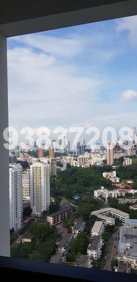 Highline Residences (D3), Condominium #173433022